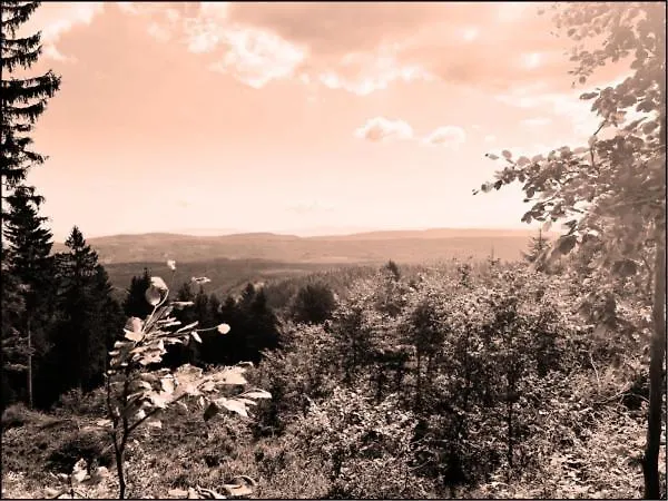 Sudecka K0rona Caloroczne Dağ evi *